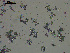  ( - EQU4402(2)_Hgri)  @11 [ ] by-nc-sa (2020) INVEMAR INVEMAR-BEM