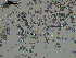  ( - EQU4402(2)_Hgri)  @11 [ ] by-nc-sa (2020) INVEMAR INVEMAR-BEM