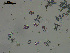  ( - EQU4402(3)_Hgri)  @11 [ ] by-nc-sa (2020) INVEMAR INVEMAR-BEM