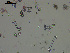  ( - EQU4402(3)_Hgri)  @11 [ ] by-nc-sa (2020) INVEMAR INVEMAR-BEM
