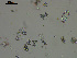  ( - EQU4402(3)_Hgri)  @11 [ ] by-nc-sa (2020) INVEMAR INVEMAR-BEM