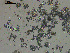  ( - EQU4402(3)_Hgri)  @11 [ ] by-nc-sa (2020) INVEMAR INVEMAR-BEM