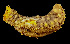  ( - EQU4234_Hvir)  @11 [ ] by-nc-sa  INVEMAR INVEMAR-BEM