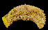  ( - EQU4234_Hvir)  @11 [ ] by-nc-sa  INVEMAR INVEMAR-BEM