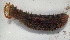  ( - EQU4309_Hvir)  @11 [ ] by-nc-sa  INVEMAR INVEMAR-BEM