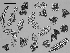  ( - EQU4309_Hvir)  @11 [ ] by-nc-sa  INVEMAR INVEMAR-BEM