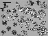  ( - EQU4309_Hvir)  @11 [ ] by-nc-sa  INVEMAR INVEMAR-BEM