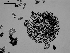  ( - EQU4309_Hvir)  @11 [ ] by-nc-sa  INVEMAR INVEMAR-BEM