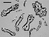  ( - EQU4309_Hvir)  @11 [ ] by-nc-sa  INVEMAR INVEMAR-BEM