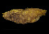  ( - EQU4312_Hvir)  @11 [ ] by-nc-sa  INVEMAR INVEMAR-BEM