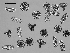  ( - EQU4312_Hvir)  @11 [ ] by-nc-sa  INVEMAR INVEMAR-BEM