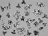  ( - EQU4312_Hvir)  @11 [ ] by-nc-sa  INVEMAR INVEMAR-BEM