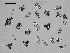  ( - EQU4311_Hhil)  @11 [ ] by-nc-sa  INVEMAR INVEMAR-BEM