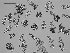  ( - EQU4311_Hhil)  @11 [ ] by-nc-sa  INVEMAR INVEMAR-BEM