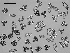  ( - EQU4311_Hhil)  @11 [ ] by-nc-sa  INVEMAR INVEMAR-BEM