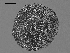  ( - EQU4311_Hhil)  @11 [ ] by-nc-sa  INVEMAR INVEMAR-BEM