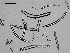  ( - EQU4311_Hhil)  @11 [ ] by-nc-sa  INVEMAR INVEMAR-BEM
