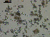  ( - EQU4246_Himi)  @11 [ ] by-nc-sa  INVEMAR INVEMAR-BEM