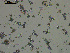  ( - EQU4246_Himi)  @11 [ ] by-nc-sa  INVEMAR INVEMAR-BEM