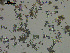  ( - EQU4246_Himi)  @11 [ ] by-nc-sa  INVEMAR INVEMAR-BEM