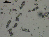  ( - EQU2759_Hlub)  @11 [ ] by-nc-sa  INVEMAR INVEMAR-BEM