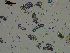  ( - EQU2759_Hlub)  @11 [ ] by-nc-sa  INVEMAR INVEMAR-BEM
