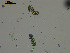  ( - EQU2759_Hlub)  @11 [ ] by-nc-sa  INVEMAR INVEMAR-BEM