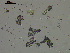 ( - EQU2759_Hlub)  @11 [ ] by-nc-sa  INVEMAR INVEMAR-BEM