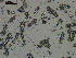  ( - EQU2759_Hlub)  @11 [ ] by-nc-sa  INVEMAR INVEMAR-BEM