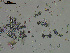 ( - EQU2762_Hlub)  @11 [ ] by-nc-sa  INVEMAR INVEMAR-BEM