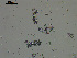  ( - EQU2762_Hlub)  @11 [ ] by-nc-sa  INVEMAR INVEMAR-BEM