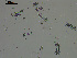  ( - EQU2762_Hlub)  @11 [ ] by-nc-sa  INVEMAR INVEMAR-BEM