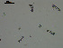  ( - EQU2762_Hlub)  @11 [ ] by-nc-sa  INVEMAR INVEMAR-BEM