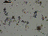  ( - EQU2762_Hlub)  @11 [ ] by-nc-sa  INVEMAR INVEMAR-BEM