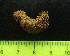  ( - EQU4399(1)_Hpar)  @11 [ ] by-nc-sa  INVEMAR INVEMAR-BEM