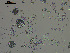  ( - EQU4399(1)_Hpar)  @11 [ ] by-nc-sa  INVEMAR INVEMAR-BEM