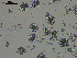 ( - EQU4399(1)_Hpar)  @11 [ ] by-nc-sa  INVEMAR INVEMAR-BEM