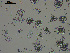  ( - EQU4399(1)_Hpar)  @11 [ ] by-nc-sa  INVEMAR INVEMAR-BEM