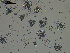  ( - EQU4399(1)_Hpar)  @11 [ ] by-nc-sa  INVEMAR INVEMAR-BEM