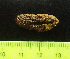  ( - EQU4399(2)_Hpar)  @11 [ ] by-nc-sa  INVEMAR INVEMAR-BEM