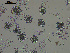  ( - EQU4399(2)_Hpar)  @11 [ ] by-nc-sa  INVEMAR INVEMAR-BEM