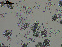  ( - EQU4399(2)_Hpar)  @11 [ ] by-nc-sa  INVEMAR INVEMAR-BEM