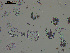  ( - EQU4399(2)_Hpar)  @11 [ ] by-nc-sa  INVEMAR INVEMAR-BEM
