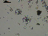  ( - TEJ1321_Hzac)  @11 [ ] by-nc-sa  INVEMAR INVEMAR-BEM