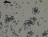 ( - TEJ1321_Hzac)  @11 [ ] by-nc-sa  INVEMAR INVEMAR-BEM