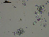  ( - TEJ1321_Hzac)  @11 [ ] by-nc-sa  INVEMAR INVEMAR-BEM
