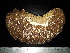  ( - EQU3089_Ibad)  @11 [ ] by-nc-sa  INVEMAR INVEMAR-BEM