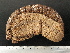  ( - EQU3089_Ibad)  @11 [ ] by-nc-sa  INVEMAR INVEMAR-BEM