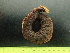  ( - EQU4328_Lmac)  @11 [ ] by-nc-sa  INVEMAR INVEMAR-BEM