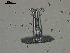  ( - EQU4328_Lmac)  @11 [ ] by-nc-sa  INVEMAR INVEMAR-BEM